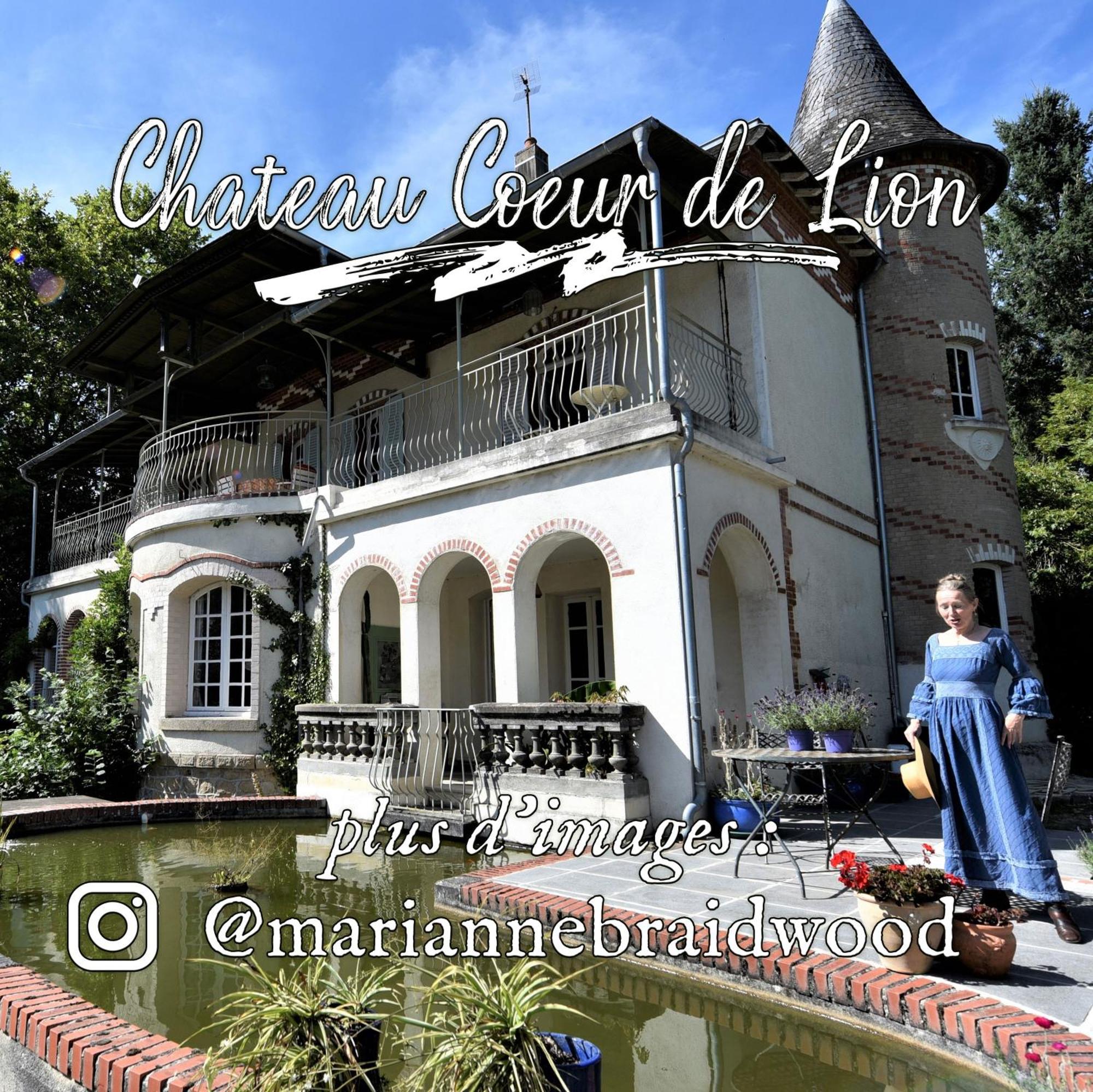 Chateau Coeur De Lion Châteauponsac Eksteriør bilde