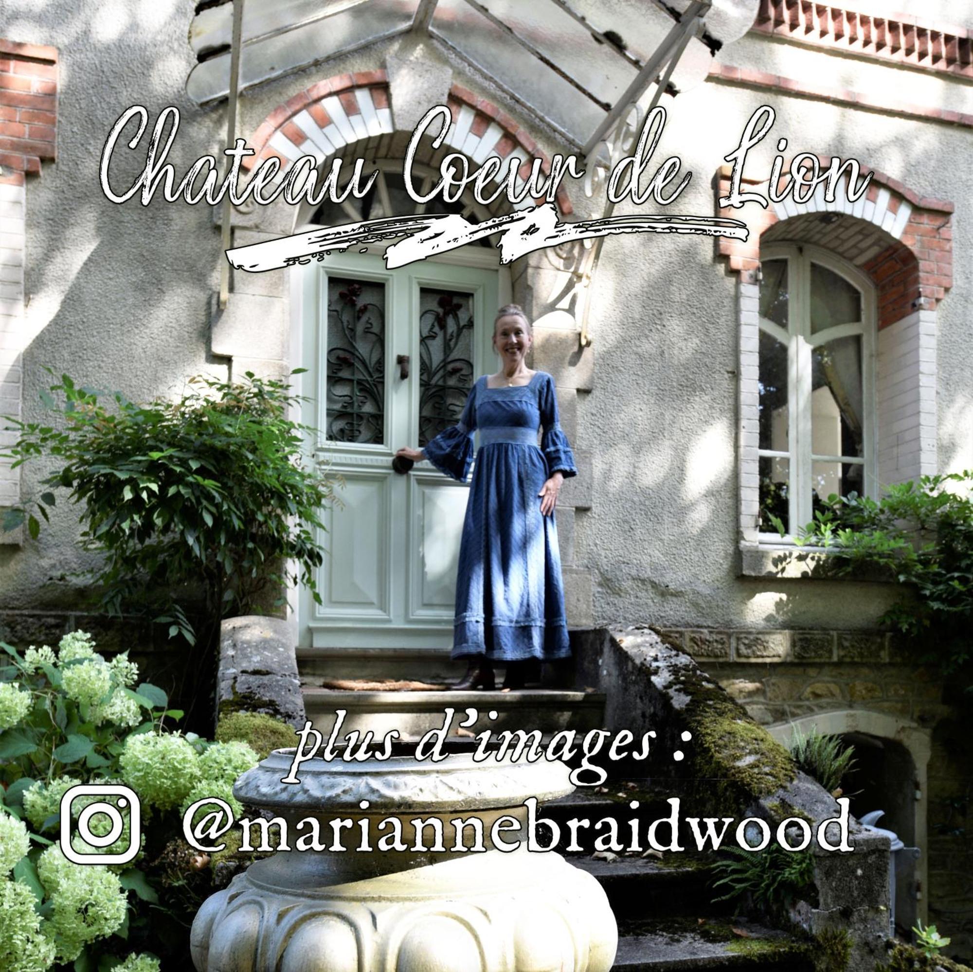 Chateau Coeur De Lion Châteauponsac Eksteriør bilde